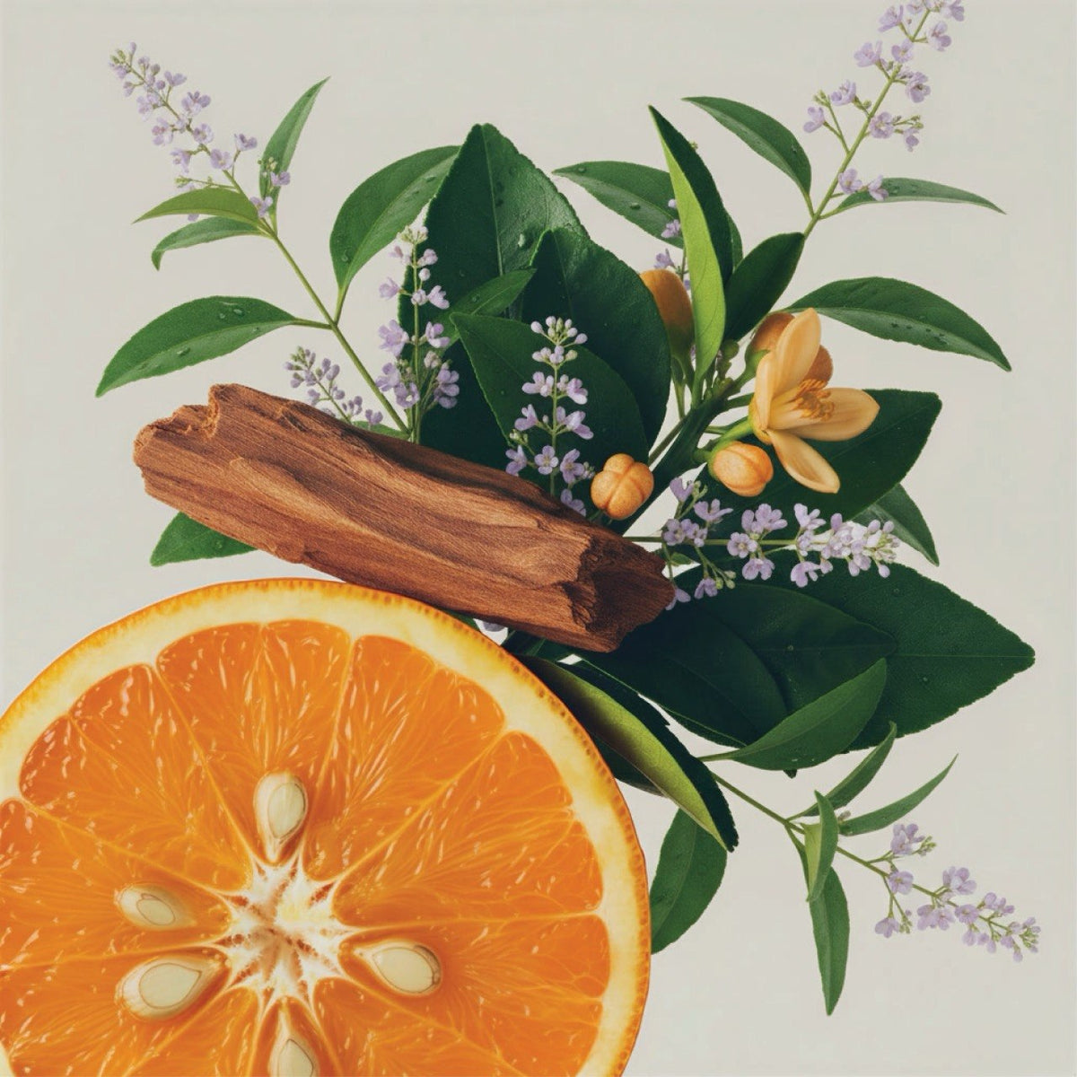 Neroli Buds