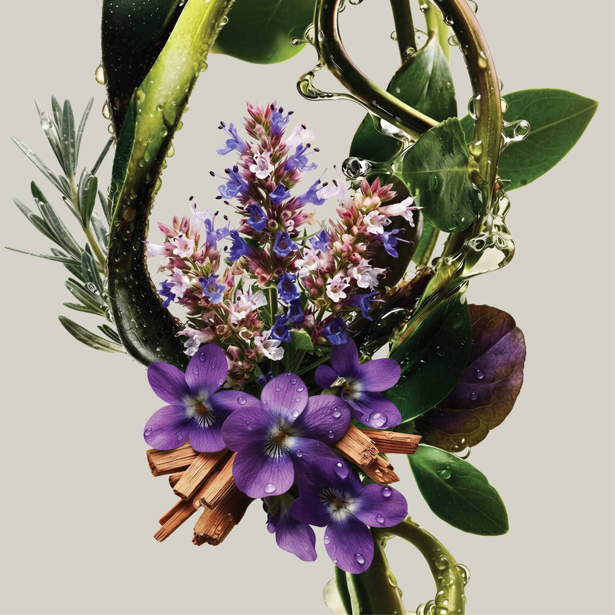 Santal