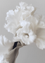 Blanc Suede