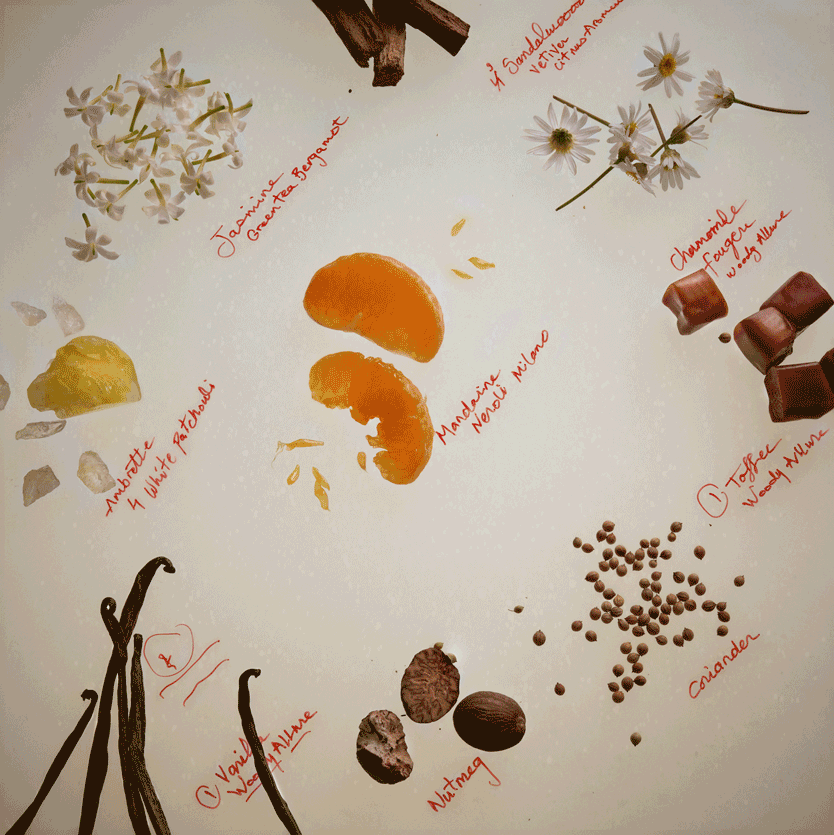 Scent Families Maison M scent-families-maison-m