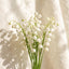 Crisp Linen