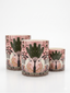 The Versatile Ceramic • Woody