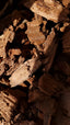 Noir Sandalwood