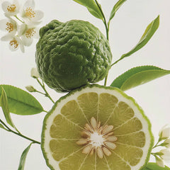 Green Tea Bergamot