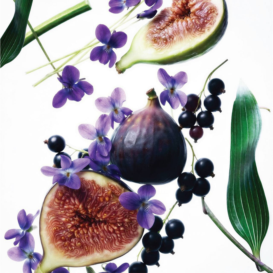 Blackcurrant &amp; Fig